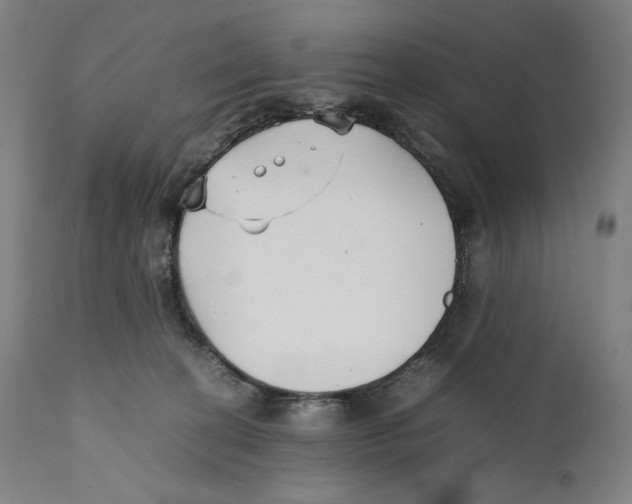 X0000111530274200908111234