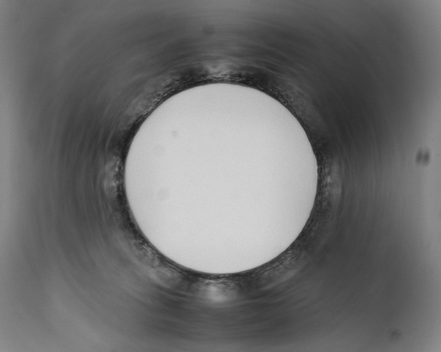 X0000111530275200908111234