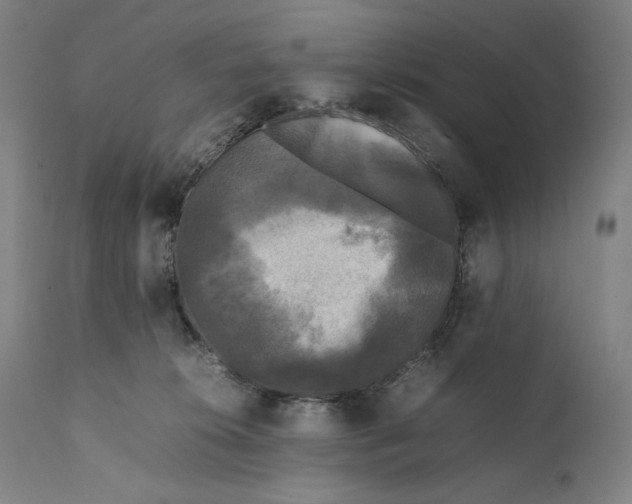 X0000111530276200908111234