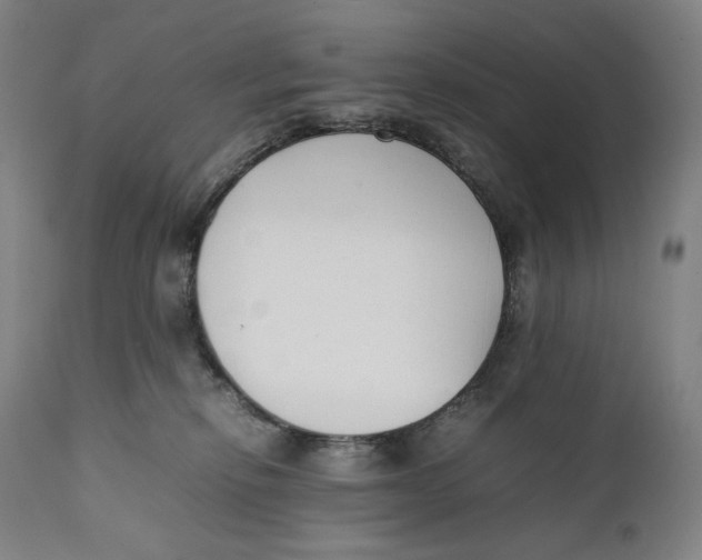 X0000111530278200908111234