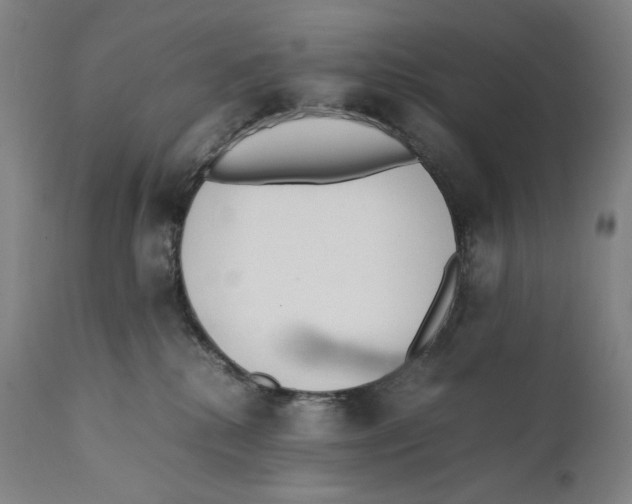 X0000111530280200908111234