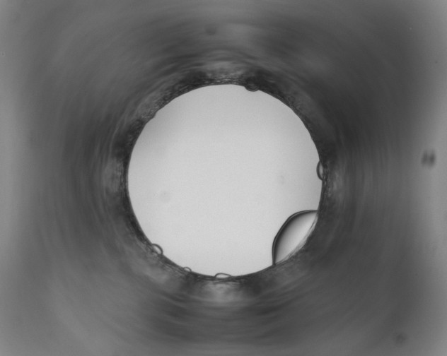 X0000111530283200908111234