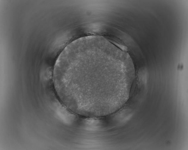 X0000111530284200908111234