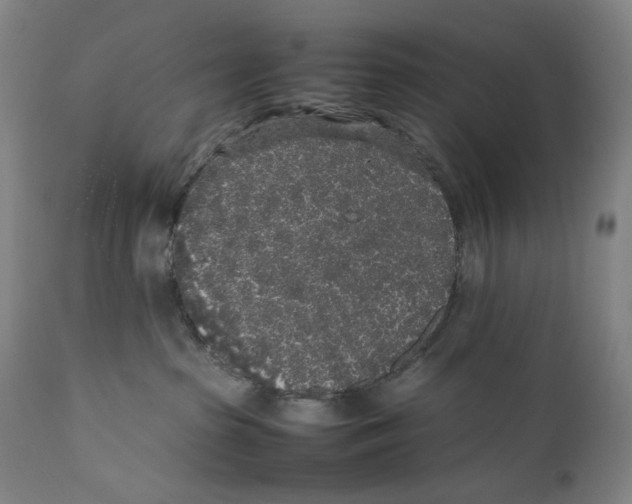 X0000111530285200908111234