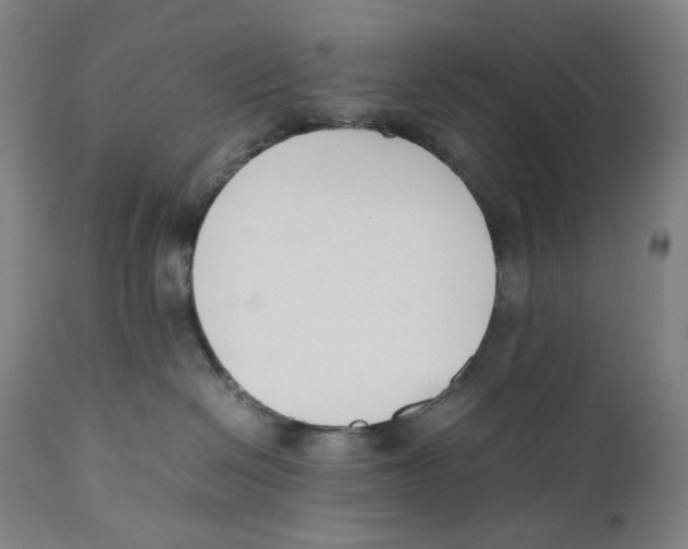 X0000111530286200908111234