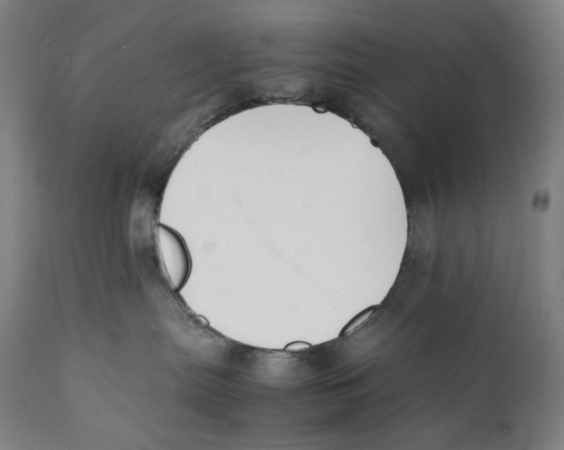 X0000111530287200908111234