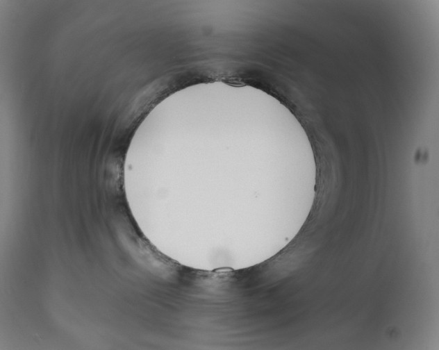 X0000111530288200908111234