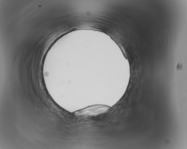 X0000111530289200908111233