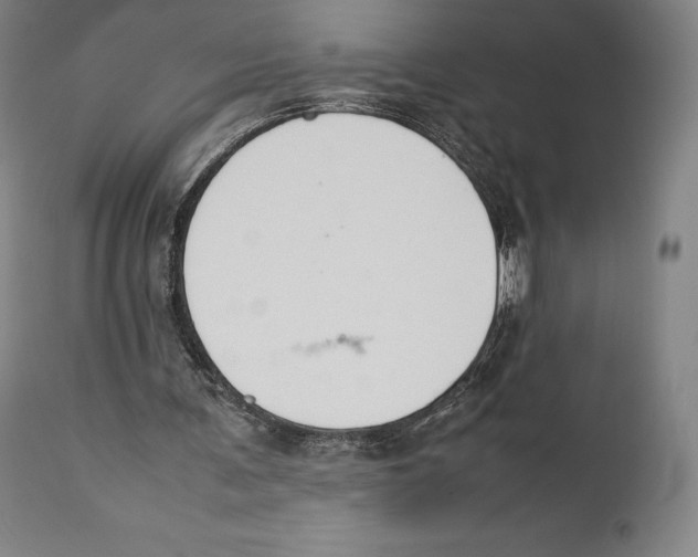 X0000111530291200908111233