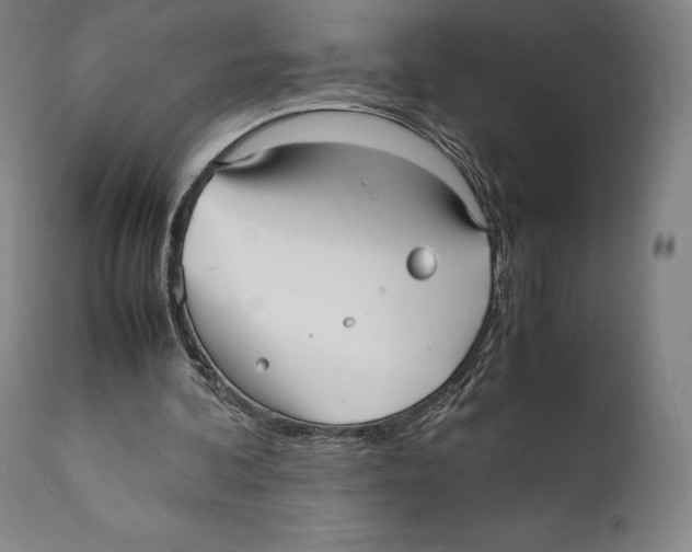 X0000111530292200908111233