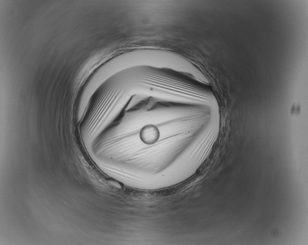 X0000111530293200908111233