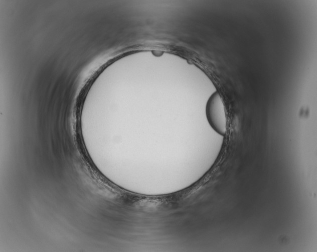 X0000111530294200908111233