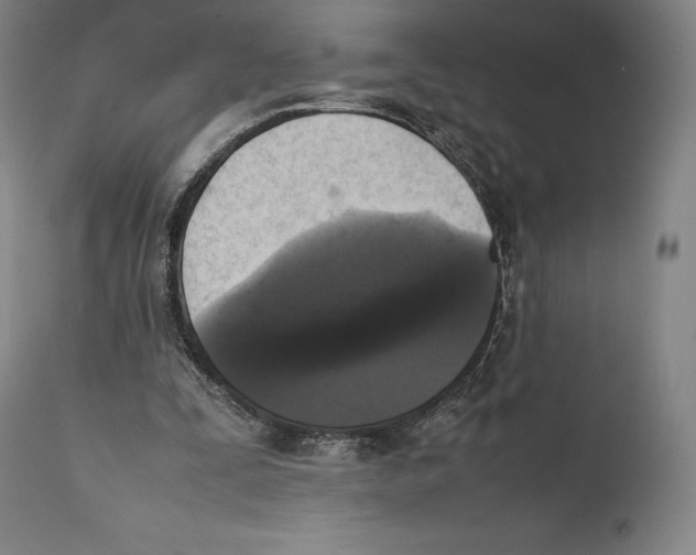 X0000111530295200908111233