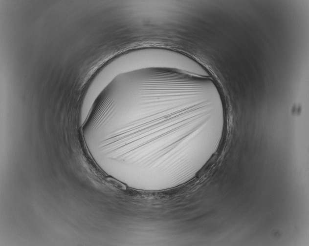 X0000111530297200908111233