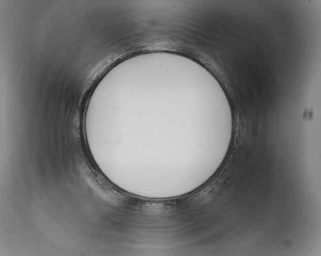 X0000111530298200908111233