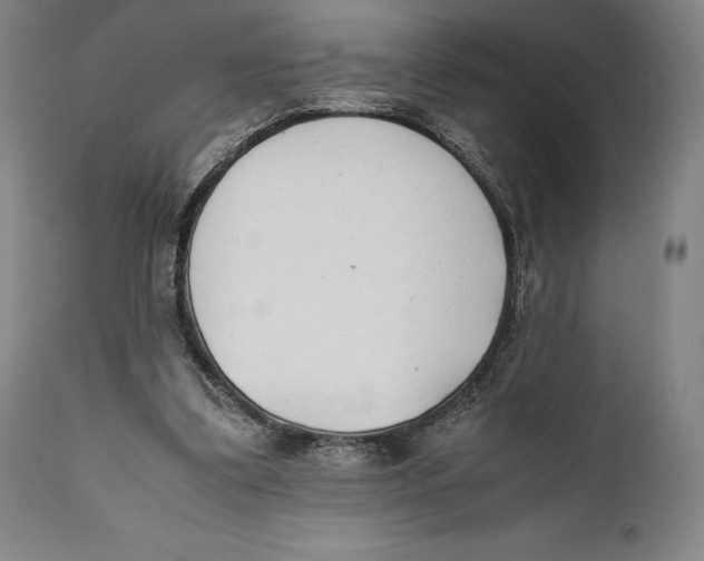 X0000111530299200908111233