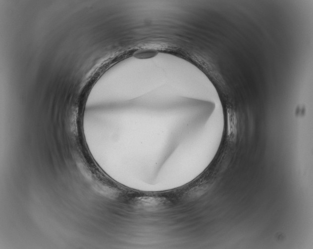 X0000111530300200908111233