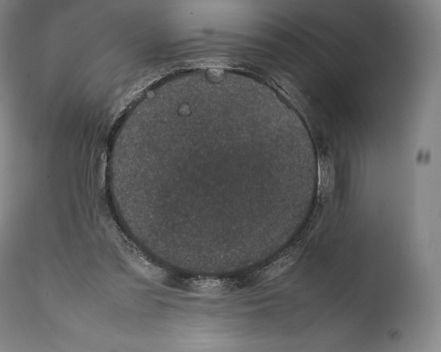 X0000111530301200908111233