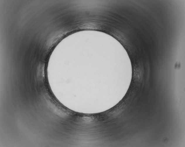 X0000111530302200908111233