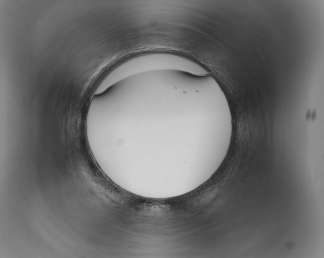 X0000111530304200908111233