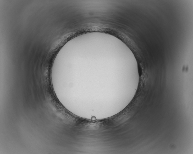 X0000111530306200908111233