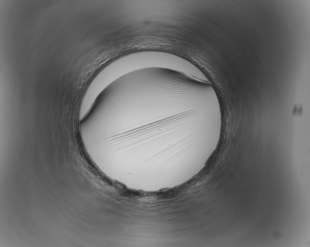 X0000111530309200908111233