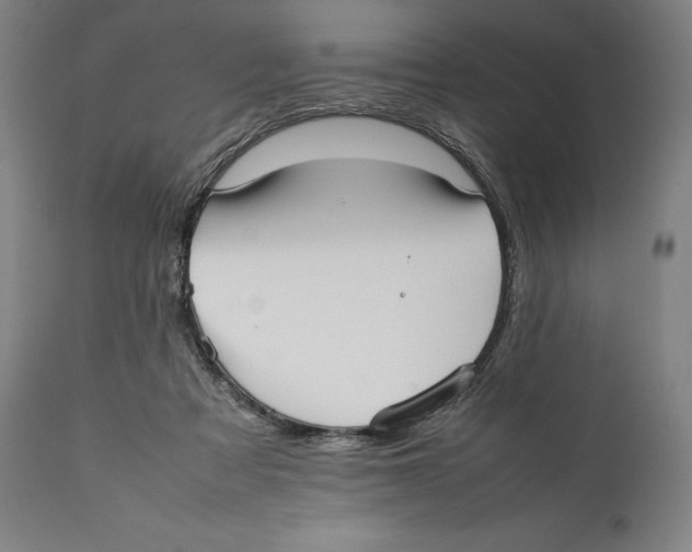 X0000111530313200908111233