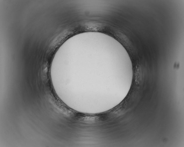 X0000111530314200908111233