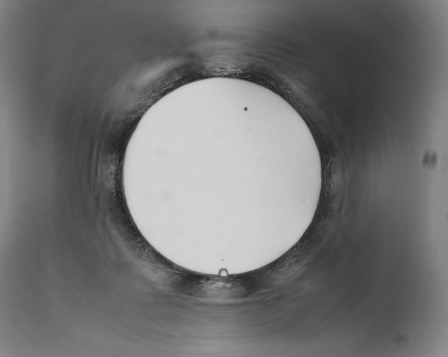 X0000111530315200908111233