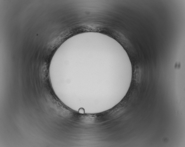 X0000111530318200908111233