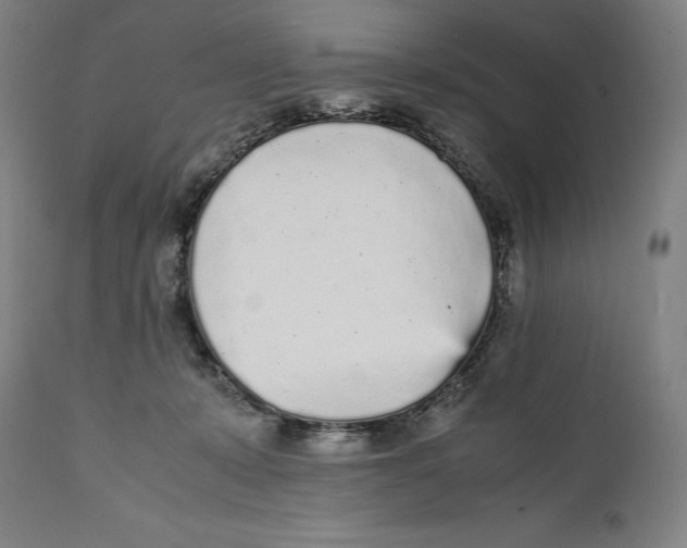 X0000111530319200908111233