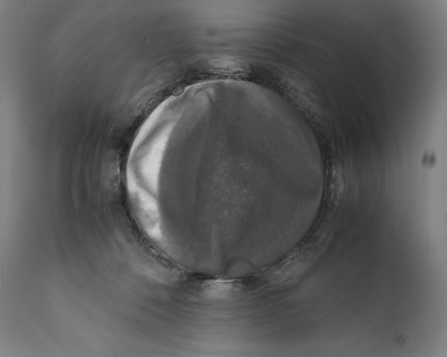 X0000111530320200908111233