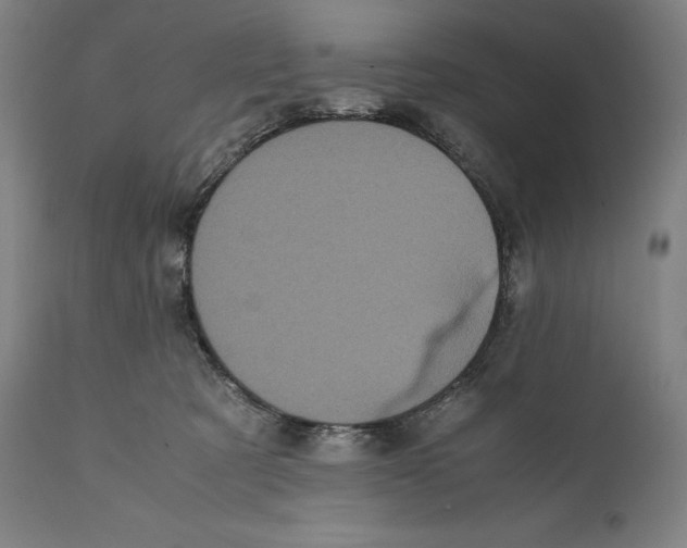 X0000111530321200908111233