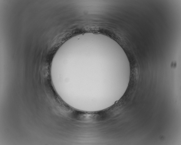 X0000111530323200908111233