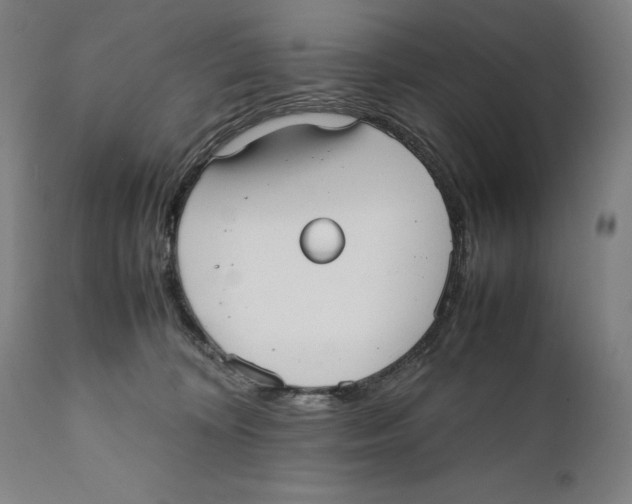 X0000111530324200908111233