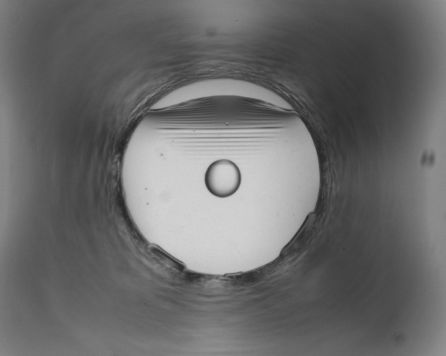 X0000111530325200908111233