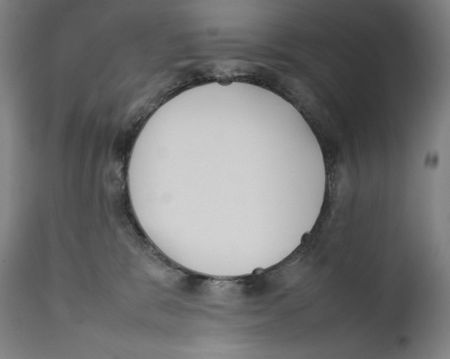 X0000111530327200908111233