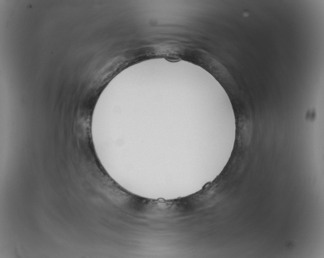 X0000111530329200908111233