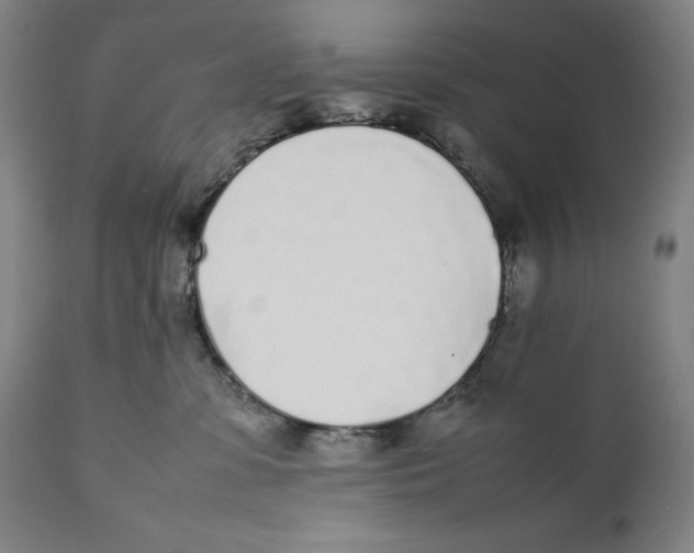 X0000111530331200908111233