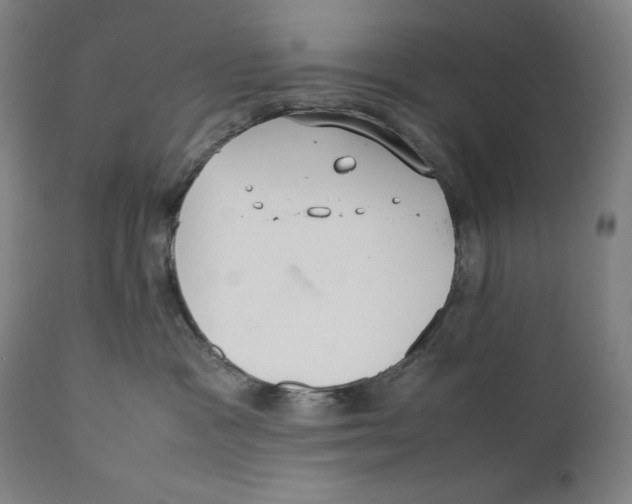 X0000111530333200908111233