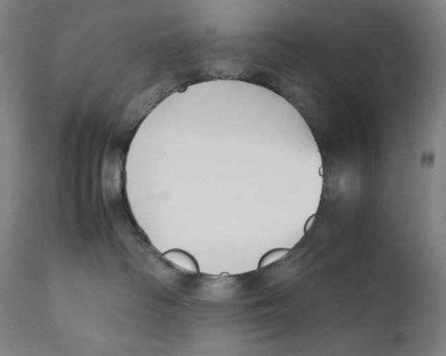 X0000111530334200908111233