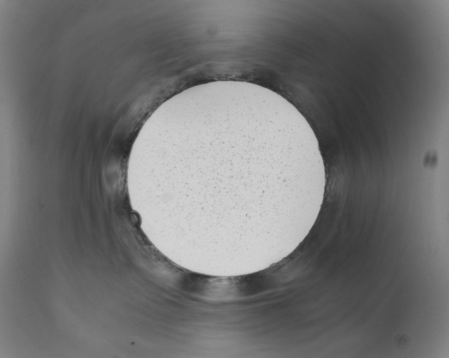 X0000111530335200908111233