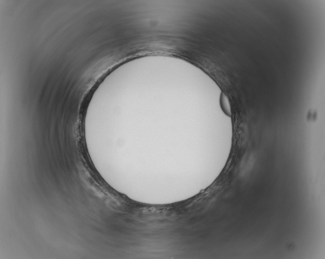 X0000111530338200908111232