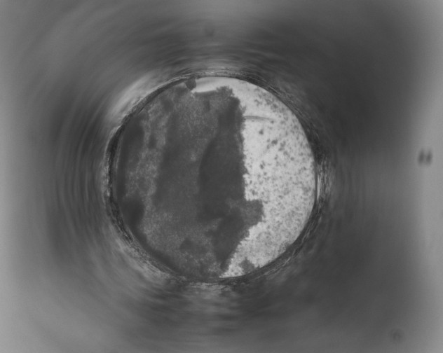 X0000111530339200908111232