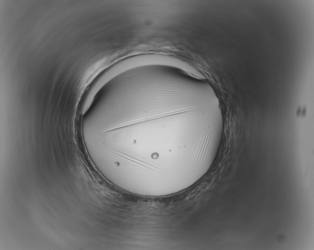 X0000111530340200908111232