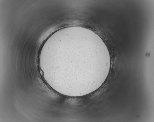 X0000111530341200908111232