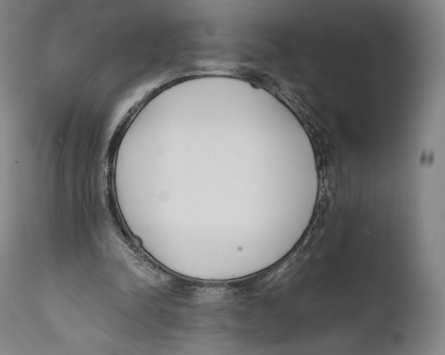 X0000111530342200908111232