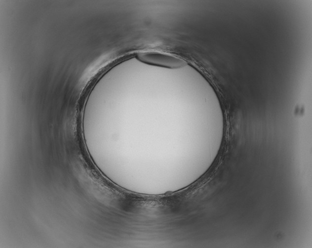 X0000111530344200908111232