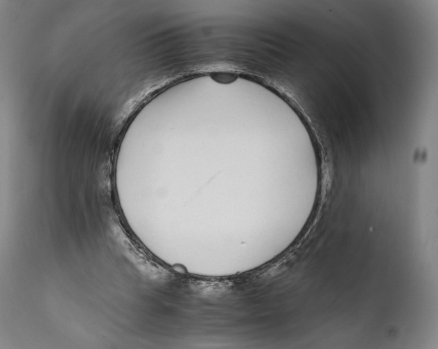 X0000111530345200908111232