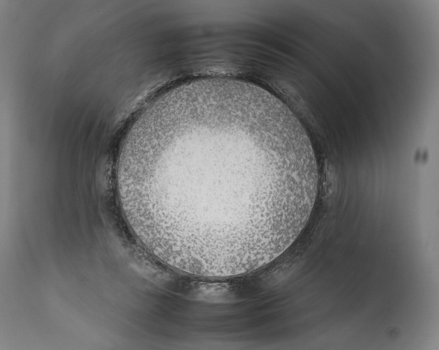 X0000111530355200908111232